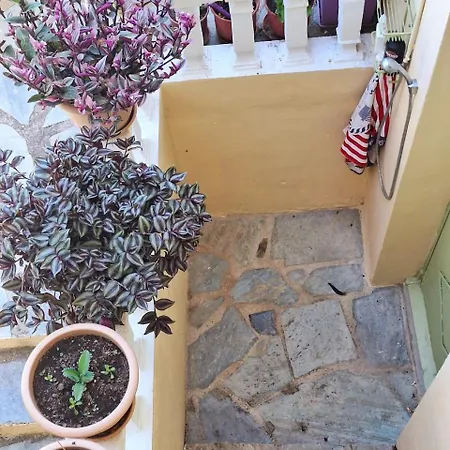 Marchie's Place - Spacious One Bedroom For Rent On Island Apartment *