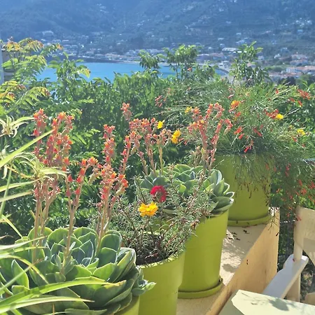 Apartment Marchie's Place - Spacious One Bedroom For Rent On Island Skopelos Town